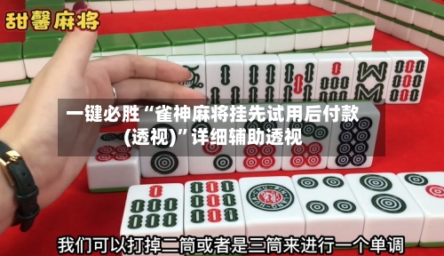 一键必胜“雀神麻将挂先试用后付款(透视)”详细辅助透视-第3张图片
