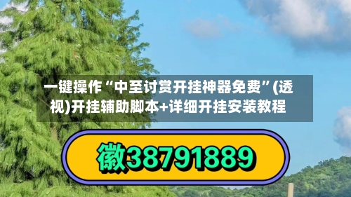 一键操作“中至讨赏开挂神器免费”(透视)开挂辅助脚本+详细开挂安装教程-第1张图片