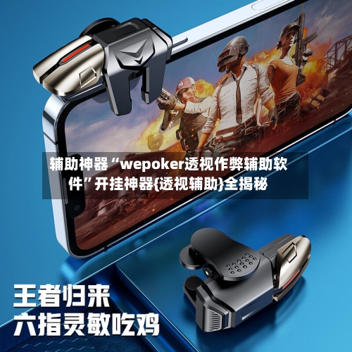 辅助神器“wepoker透视作弊辅助软件	”开挂神器{透视辅助}全揭秘-第2张图片