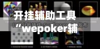 开挂辅助工具“wepoker辅助透视软件	”(透视)开挂辅助脚本+详细开挂安装教程-第2张图片