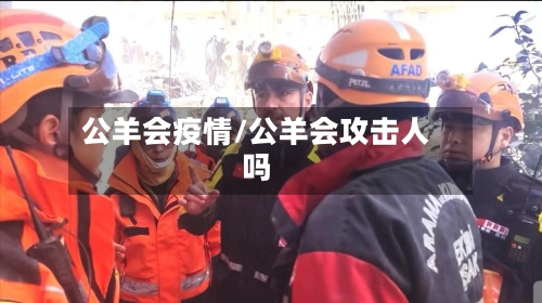 公羊会疫情/公羊会攻击人吗-第1张图片