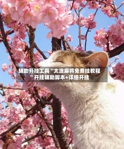 辅助开挂工具“太浪麻将免费挂教程”开挂辅助脚本+详细开挂-第1张图片