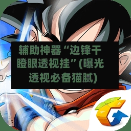 辅助神器“边锋干瞪眼透视挂”(曝光透视必备猫腻)-第1张图片