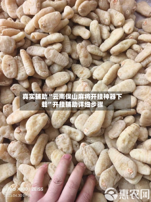 真实辅助“云南保山麻将开挂神器下载”开挂辅助详细步骤-第3张图片