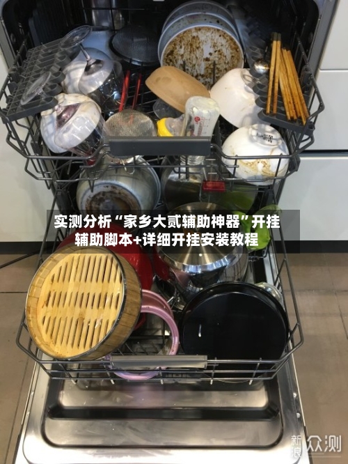 实测分析“家乡大贰辅助神器”开挂辅助脚本+详细开挂安装教程-第1张图片