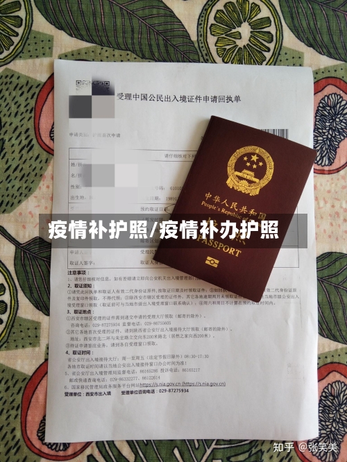 疫情补护照/疫情补办护照-第1张图片