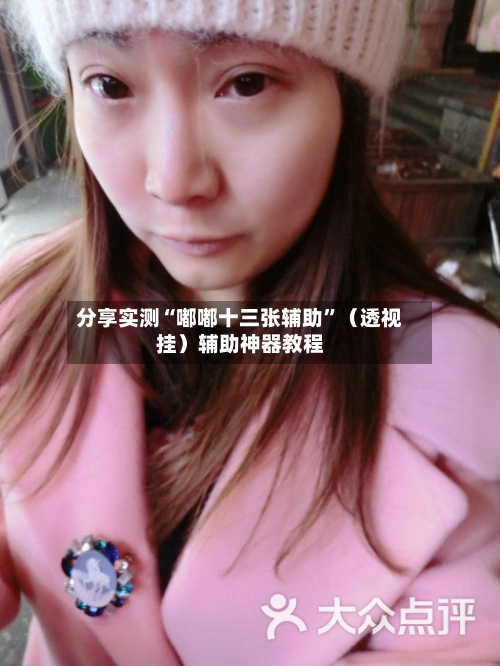 分享实测“嘟嘟十三张辅助”（透视挂）辅助神器教程