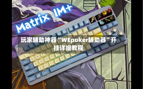 玩家辅助神器“WEpoker辅助器”开挂详细教程