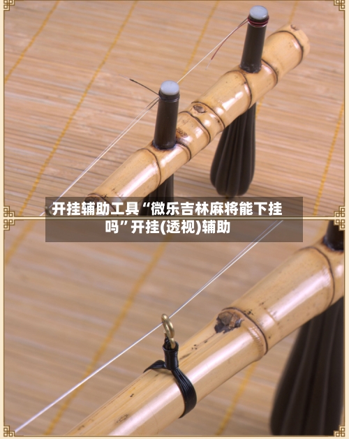 开挂辅助工具“微乐吉林麻将能下挂吗	”开挂(透视)辅助-第2张图片