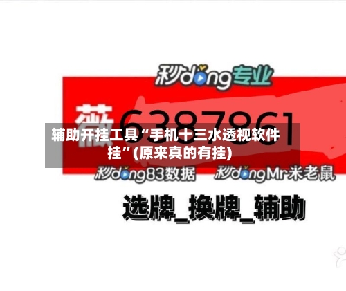 辅助开挂工具“手机十三水透视软件挂”(原来真的有挂)