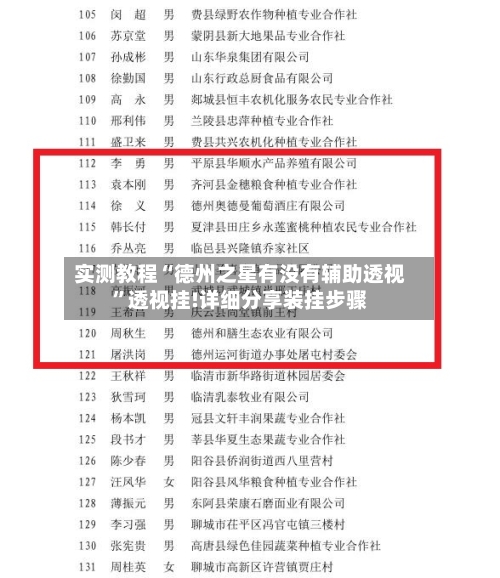 实测教程“德州之星有没有辅助透视”透视挂!详细分享装挂步骤-第2张图片