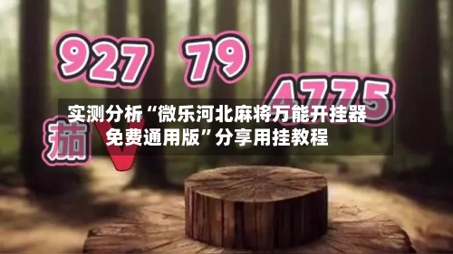 实测分析“微乐河北麻将万能开挂器免费通用版”分享用挂教程