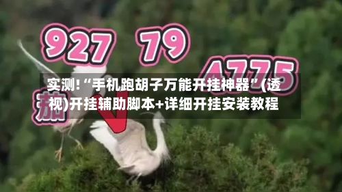 实测!“手机跑胡子万能开挂神器”(透视)开挂辅助脚本+详细开挂安装教程-第1张图片