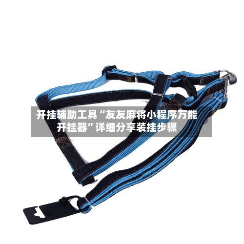 开挂辅助工具“友友麻将小程序万能开挂器”详细分享装挂步骤-第1张图片