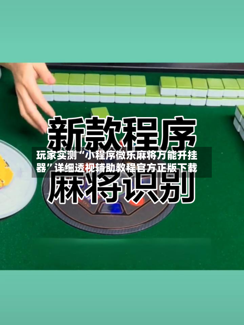 玩家实测“小程序微乐麻将万能开挂器	”详细透视辅助教程官方正版下载-第2张图片