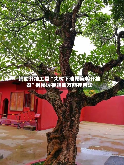 辅助开挂工具“大树下汕尾麻将开挂器”揭秘透视辅助万能挂用法-第1张图片