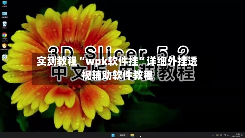 实测教程“wpk软件挂”详细外挂透视辅助软件教程-第1张图片