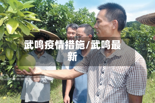 武鸣疫情措施/武鸣最新-第1张图片