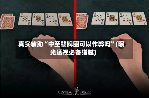 真实辅助“中至赣牌圈可以作弊吗”(曝光透视必备猫腻)-第1张图片