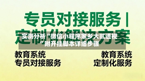 实测分析“微信小程序家乡大贰透视	”附开挂脚本详细步骤-第1张图片