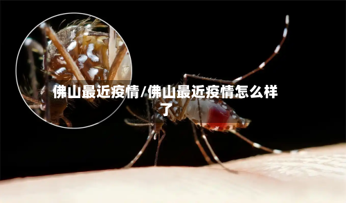 佛山最近疫情/佛山最近疫情怎么样了-第1张图片