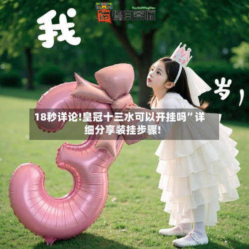 18秒详论!皇冠十三水可以开挂吗	”详细分享装挂步骤!-第1张图片