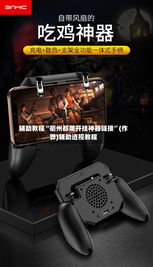 辅助教程“衢州都莱开挂神器链接”(作弊)辅助透视教程-第2张图片