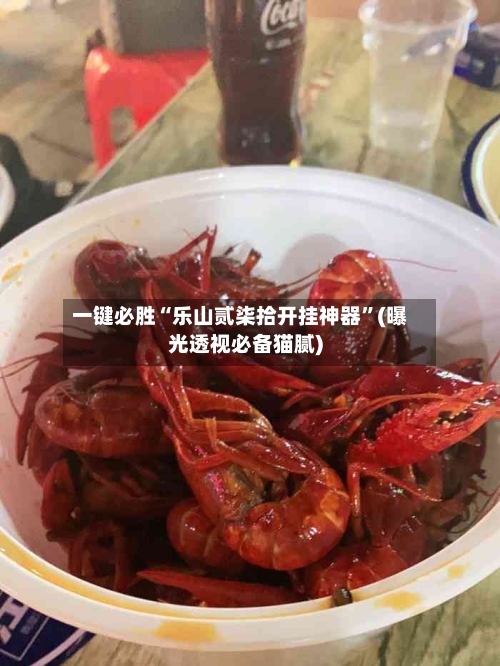 一键必胜“乐山贰柒拾开挂神器	”(曝光透视必备猫腻)-第2张图片