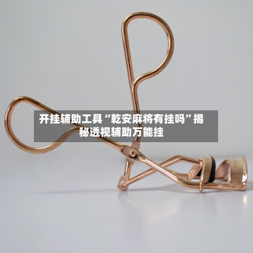开挂辅助工具“乾安麻将有挂吗	”揭秘透视辅助万能挂-第1张图片