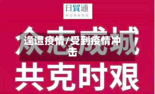 逢遭疫情/受到疫情冲击-第2张图片