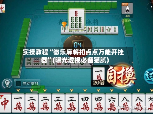 实操教程“微乐麻将扣点点万能开挂器”(曝光透视必备猫腻)-第1张图片