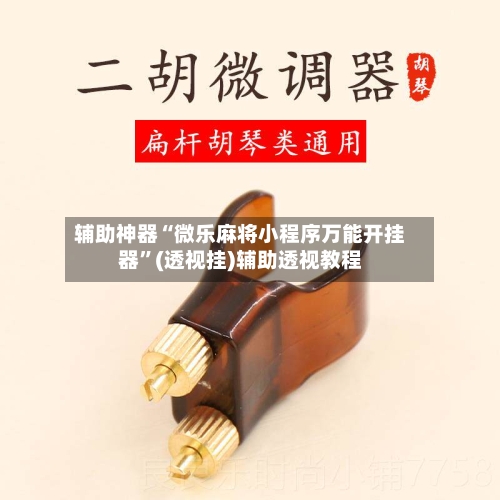 辅助神器“微乐麻将小程序万能开挂器”(透视挂)辅助透视教程-第1张图片