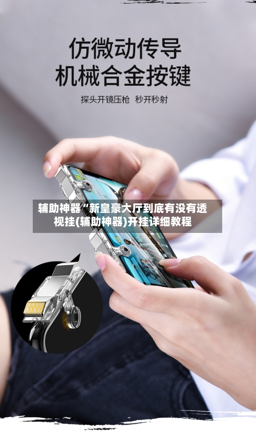 辅助神器“新皇豪大厅到底有没有透视挂(辅助神器)开挂详细教程-第3张图片