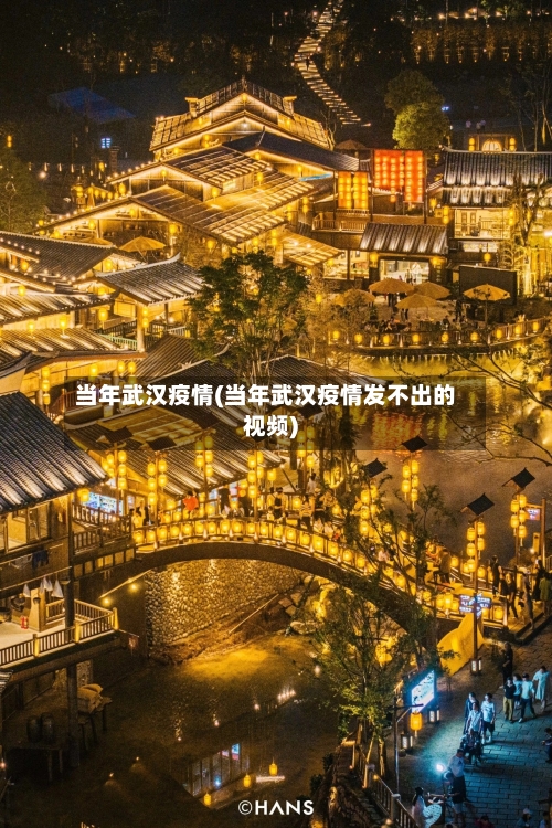 当年武汉疫情(当年武汉疫情发不出的视频)-第1张图片