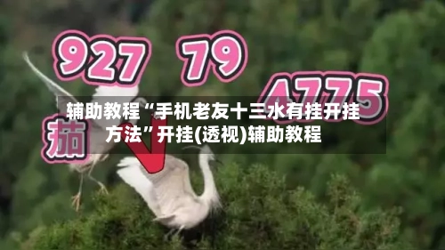 辅助教程“手机老友十三水有挂开挂方法	”开挂(透视)辅助教程-第1张图片