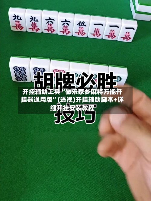 开挂辅助工具“微乐家乡麻将万能开挂器通用版”(透视)开挂辅助脚本+详细开挂安装教程-第3张图片