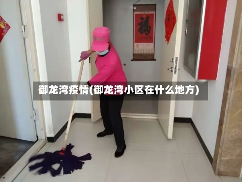 御龙湾疫情(御龙湾小区在什么地方)-第2张图片