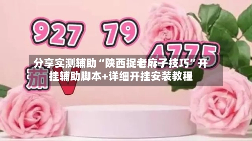 分享实测辅助“陕西捉老麻子技巧	”开挂辅助脚本+详细开挂安装教程-第1张图片