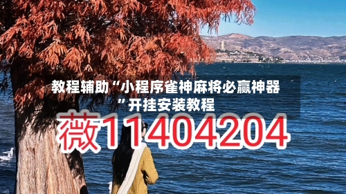 教程辅助“小程序雀神麻将必赢神器”开挂安装教程-第2张图片