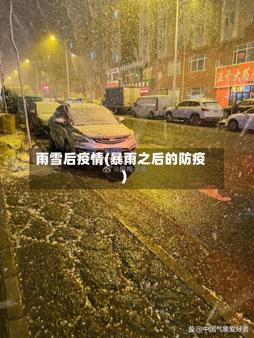 雨雪后疫情(暴雨之后的防疫)-第3张图片
