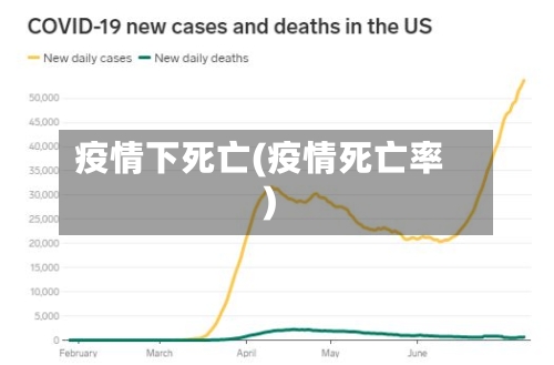 疫情下死亡(疫情死亡率)-第2张图片