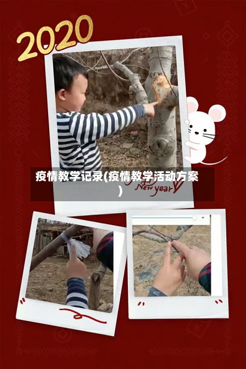 疫情教学记录(疫情教学活动方案)-第1张图片