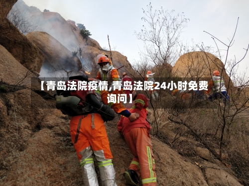 【青岛法院疫情,青岛法院24小时免费询问】-第1张图片