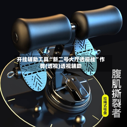 开挂辅助工具“新二号大厅透视挂”作弊(透视)透视辅助-第1张图片