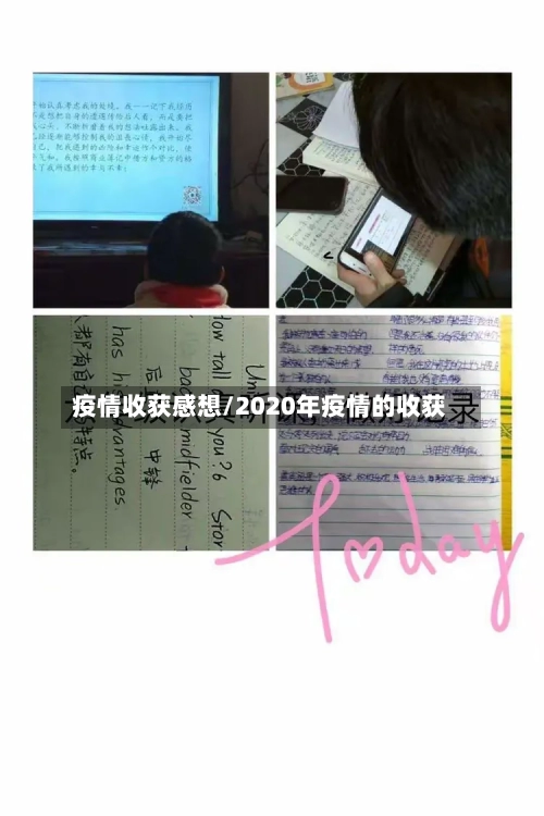 疫情收获感想/2020年疫情的收获-第1张图片