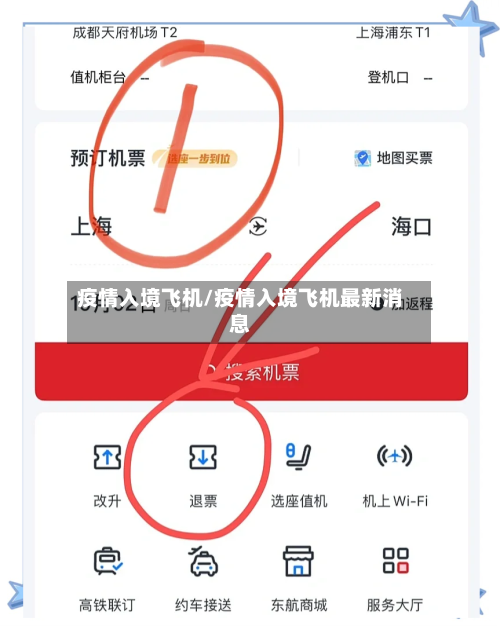 疫情入境飞机/疫情入境飞机最新消息-第1张图片