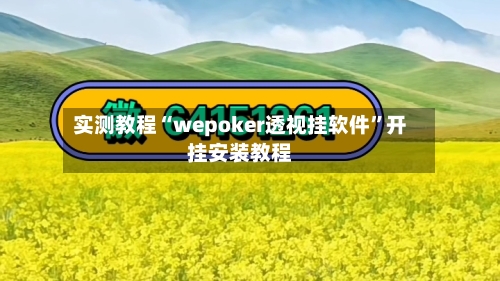 实测教程“wepoker透视挂软件”开挂安装教程-第1张图片
