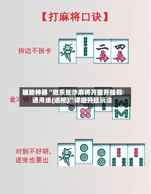辅助神器“微乐长沙麻将万能开挂器通用版(透视)	”详细开挂玩法-第2张图片