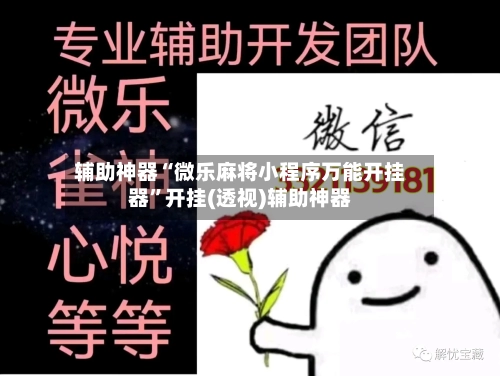 辅助神器“微乐麻将小程序万能开挂器”开挂(透视)辅助神器-第2张图片