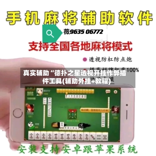 真实辅助“德扑之星透视开挂作弊插件工具(辅助外挂+教程)-第2张图片